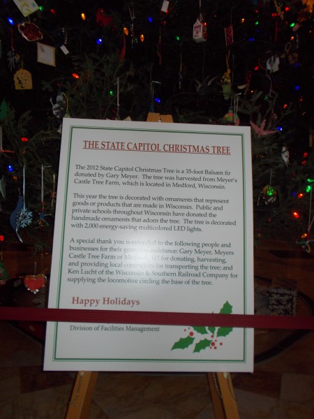 Wisconsin State Capitol Christmas Tree, clearly labeled as such.