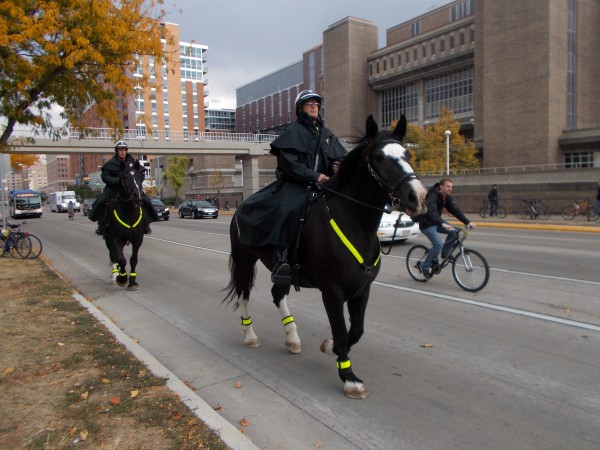 The Madison Police have increasingly chosen Percherons. This was on University Avenue on the day that we protested Obama's visit to Bascom Hill.